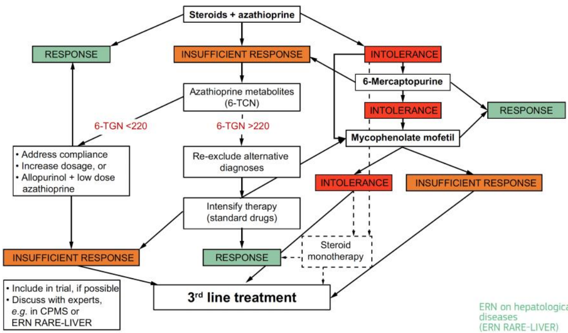 Lohse et al Hepatology 2020